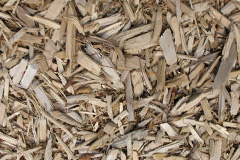 biomass boilers Tregunna